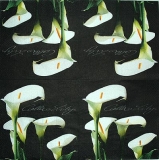 Ubrousek květiny - bílá kala 