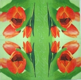 Ubrousek květiny - oranžové tulipány