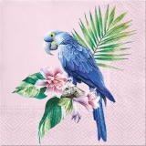 Balení ubrousků 33x33 - Modrý papoušek