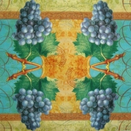 Ubrousek ovoce - modré víno