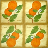 Ubrousek ovoce - pomeranče květ