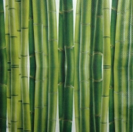 Ubrousek rostliny - bambus 