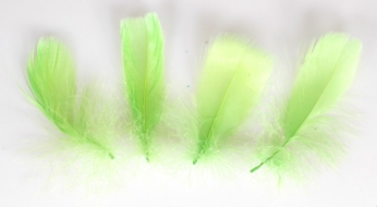Husí peříčka zelená - 4 ks