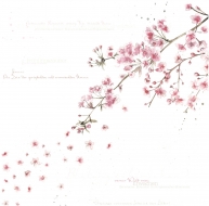 Papír na scrapbooking - kouzelné květy